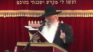 ברית קודש | קדושת האדם | הרב דניאל זר