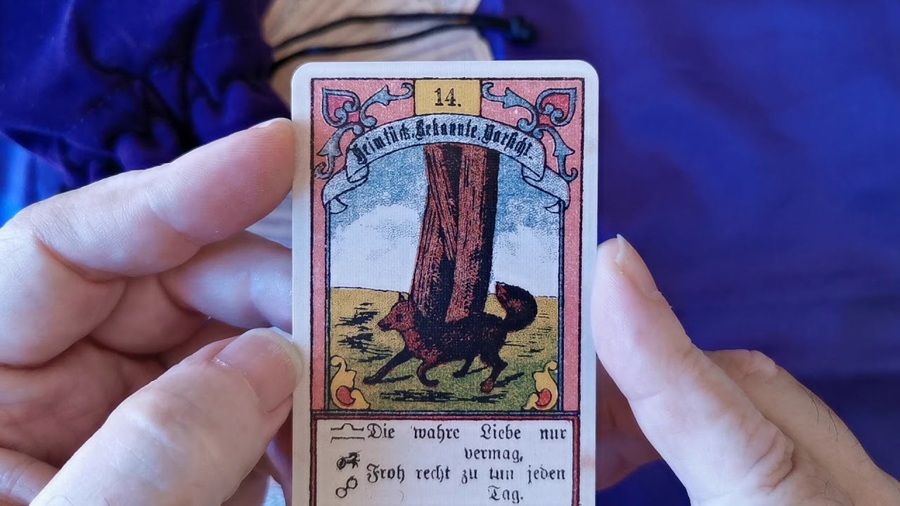 Carta do Dia:  RAPOSA