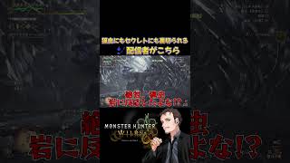 【モンハンワイルズ】操虫棍のバグに翻弄されセクレトにも裏切られる配信者がこちら