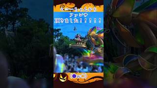 ＊【ディズニー】ミニーちゃんからファンサ頂いた件(●w○)＊