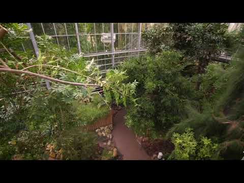 The Garden Gurus - Hortus Botanicus