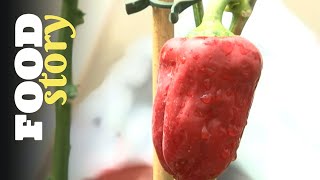 Thumbnail del capítulo