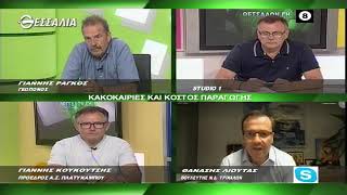 ΘΕΣΣΑΛΩΝ ΓΗ_ΚΑΚΟΚΑΙΡΙΕΣ ΚΑΙ ΚΟΣΤΟΣ ΠΑΡΑΓΩΓΗΣ 04 07 2022