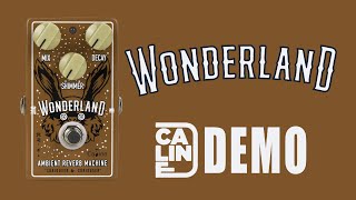 Video thumbnail for Caline - Wonderland Ambient Reverb Machine - Demo (5 Series) by Ryan Lutton