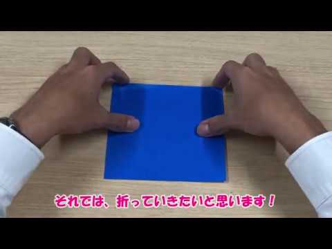 【九州女子短期大学】ひよこちゃんねる2020-3　おうちでやってみよう①　折り紙でこいのぼり