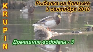 Рыбалка в орехово зуевском районе