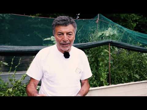 Borgo San Dalmazzo e la sua chiocciola