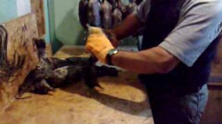 Processing muttonbirds