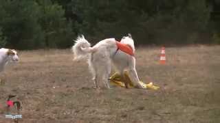 preview picture of video 'JURAJSKIJ Bistkupstwo (red) vs. NINOCZKA Negrus (white) - Swornegacie 2014'