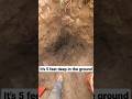 This is a really good sign! #youtubeshorts #artifacts #arrowhead #digging #ancienthistory #sifting