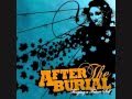 After the burial- Pi (The Mercury God of Infinity) READ DESCRIPTION