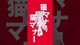 博衣こより - ばんちょーが振付したビジネスバタ(ゆーり)踊ってみた🐈猫マナー #hololive #ホロライブ #shorts #dance #ダンス #踊ってみた #vtuber #博衣こより