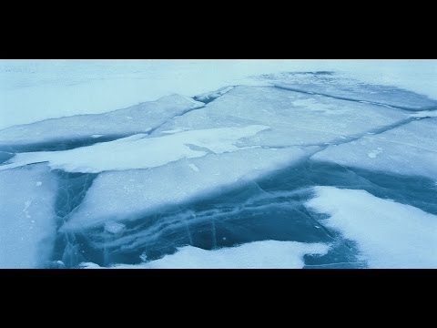 download lagu mp3 mp4 Kirkegaard Jacob 1975, download mp3 Kirkegaard Jacob 1975 free download mp3, download mp3 Kirkegaard Jacob 1975