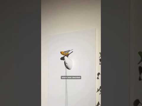 Kelly Clarkson bird feud CCTV footage released by podcast