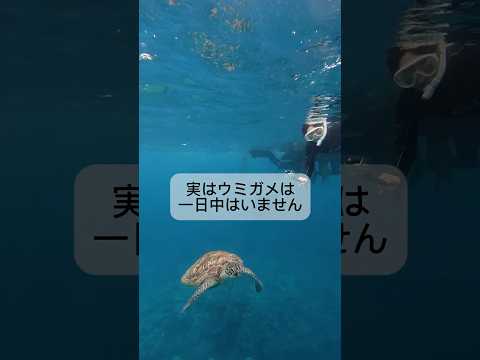 沖縄アクアマリン YouTube Shorts サムネイル