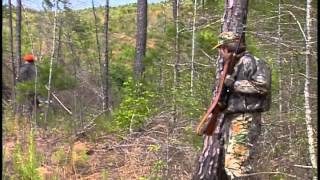 Incomplete Deer Hunter - Deer Decoy and Game Wardens