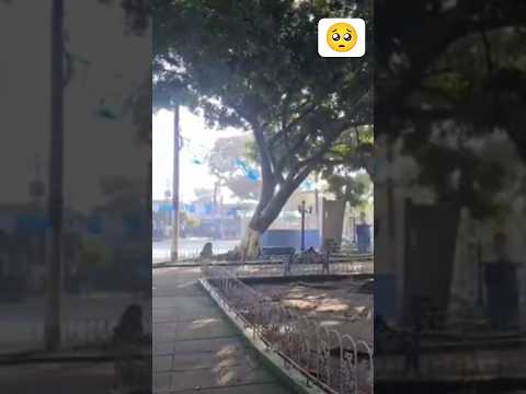parque de ilopango unos años atrás 🥺🥹 #elsalvador #ilopango #vida #viral #reels #nostalgia