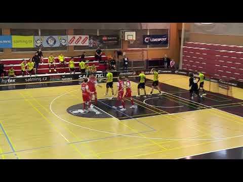 Sestřih branek: SOKOLI Pardubice vs. TJ Sokol Královské Vinohrady