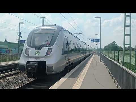 S3 nach Halle Nietleben am Bahnhof Halle Rosengarten
