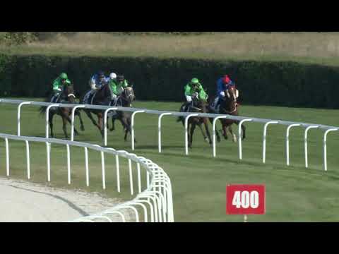 2019.09.22. 05. futam - BBAG BADEN - BADEN DÍJ (Elit kat.)