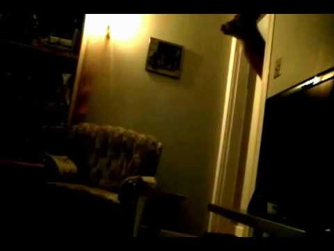 it tastes like poison