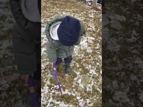 Danyal found a snail