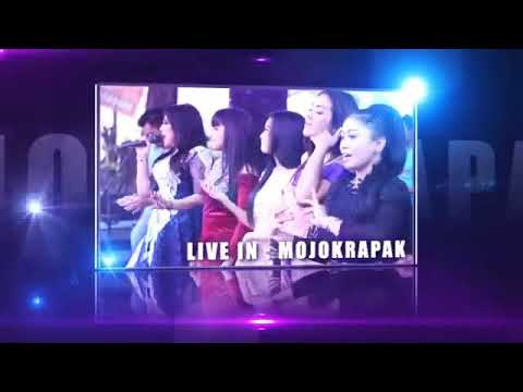 New Pallapa - Arjun - live in Tembelang Jombang