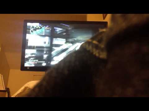 2v2 dispute vs Vudro and Reckto