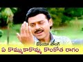 Ye Komma Ka Komma Kongottaraagam Seenu Venkatesh MrKK