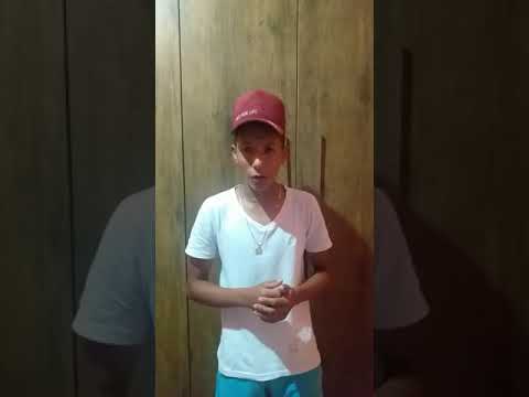 OS CANARINHOS DO MARANHÃO