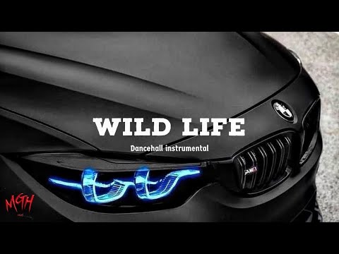 [FREE] Dancehall Riddim Instrumental 2023 (Wild Life)