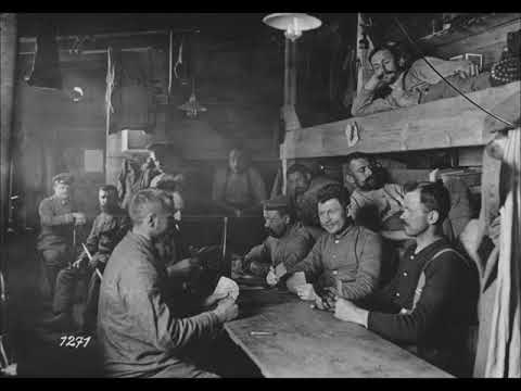 Photos of German Soldiers in the Vosges Mountains During World War 1 (1910's)