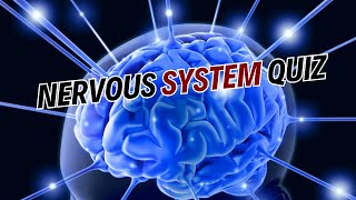 Nervous System Quiz: Test Your Knowledge & Ease Your Mind