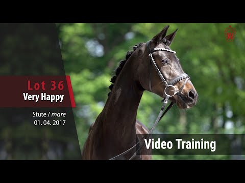 36 Very Happy v. Valido´s Highlight - Riccio_Trainingsvideo