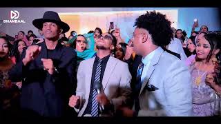 Download lagu CALI ZAKI - HABLAHA ARAB 2025 mp3