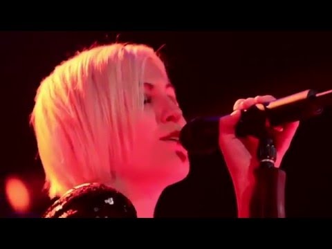 Schiller   Epic Shores mit  Meredith Call Sonne Live Blue Ray