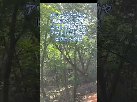 屋根付きのガーデンテラスを保護するためにどの屋外カーテンを選択するかを選択します