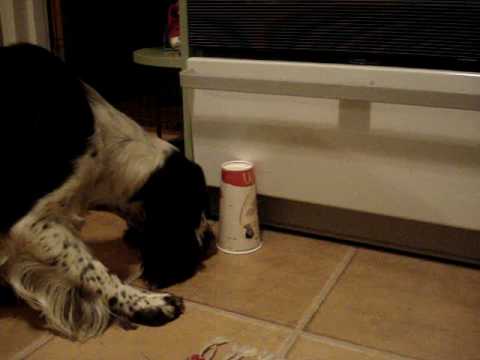 Aktiveringsövning med Myran 1