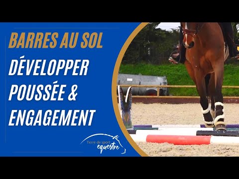 Engagement des postérieurs et incurvation : un exercice ludique