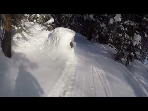 Fantastico Freeride  da Dos De la Pesa in fuoripista fino a Marilleva 1400