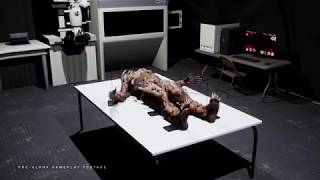 Project Midgard - Pre-Release Trailer