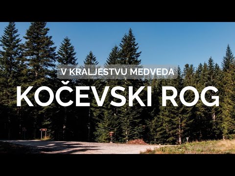 V kraljestvu medveda — Kočevski Rog
