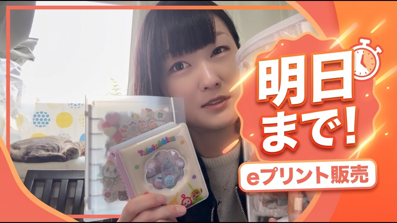 【シール帳】ゆるく紹介&ココロマンって呼ばないで&噛みついちゃってごめんねって話【猫とともに】