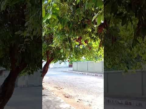 Jaraguá Goiás ♥️