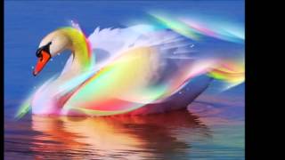 LA DANZA DEL SOLE INDIANA -