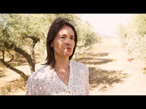 download lagu mp3 mp4 Vallongue, download lagu Vallongue gratis, unduh video klip Vallongue