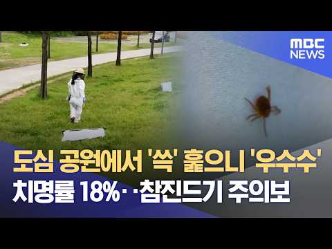 공원에서 작은 진드기가 사람을 아프게 할 수 있어요