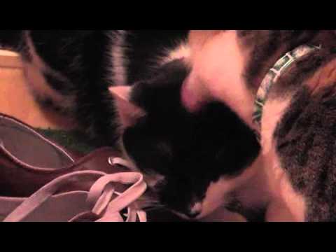 "Motherfuckers gonna drop the pressure" ... at last :)