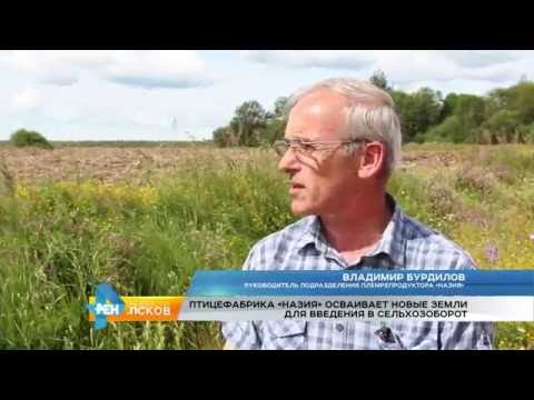 Новости Псков 19.07.2016 # Птицефабрика "Назия" осваивает новые земли