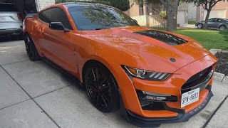 CALL KENS: Dealership loses a man's car to fraud, says the man's insurance must cover it